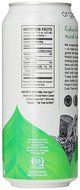 Steaz Iced Tea Can, Green Blueberry Pomegranate, Gluten Free, 16-ounces (Pack of12) N24