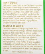 HYLEYS Tea Garcinia Cambogia Green Tea, 25 Count (Pack of 12) N2
