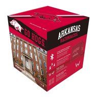 Wiseways Kube Bluetooth Collegiate Speaker for Arkansas school