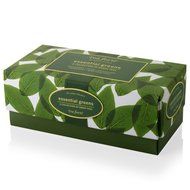 Tea Forte Presentation Box Sampler with 20 Handcrafted Pyramid Tea Infusers - Green Tea Assortment
