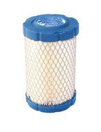 Briggs and Stratton 796031 Air Filter