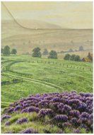 Yorkshire Gold tea in tea bags-box 80 bags N2