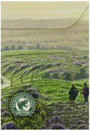 Yorkshire Gold tea in tea bags-box 80 bags N3