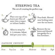 Tea Forte LEMON SORBETTI Organic Loose Leaf Green Tea, 2.12 Ounce Tea Tin N6