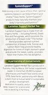 Gaia Herbs Lactation Support Herbal Tea, 16 Bags, 1.13 oz N6