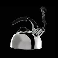 OXO Good Grips Pick Me Up Tea Kettle, Brushed Stainless N2