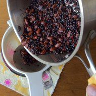 Birds &amp; Bees Teas- Our Lady of La Leche - Boost Your Body's Milk Production Ability with Natural &amp; Organic Herbs... N10