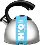 Primula Tea Kettle 3 qt. Stainless Steel Whistling