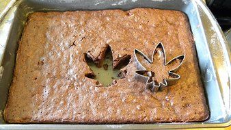 Naughty Pantry Marijuana Pot Leaf Cookie Cutter Set of 2 Stainless Steel N6