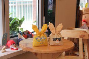 Fu Tiger Natural Air Purifying Bag 250g.Naturally Removes Odors,Allergens and Harmful Pollutants.Prevents Mold... N15