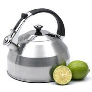 Evco International Creative Home Panorama Stainless Steel Tea Kettle, 3.7 quart, Silver