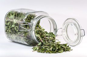 Organic Peppermint Tea, Loose Leaf Herbal Peppermint Leaves, Wild Tea #16 Peppermint Soothe by Wild Foods (2 ounce) N4