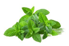 Organic Peppermint Tea, Loose Leaf Herbal Peppermint Leaves, Wild Tea #16 Peppermint Soothe by Wild Foods (2 ounce) N8
