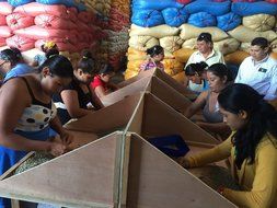 Dark Roast Coffee Beans Don Tomas Coffee (1 Pound) - Super Rich, Great Aroma Nicaraguan Coffee - Whole Coffee... N5