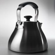 OXO Good Grips Classic Tea Kettle, Brushed Stainless N7