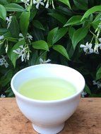 Tie Guan Yin - Finest Oolong Tea - Iron Goddess - Loose Leaf Tea (100g) 3.5 oz N2