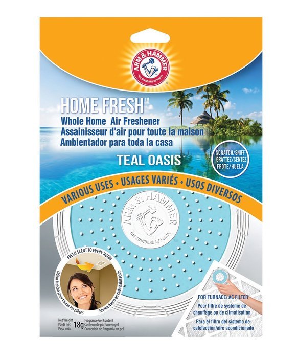 Arm & Hammer AFHF1000 Home Fresh Air Filter Scent, Teal Oasis