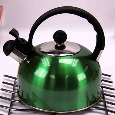 Whistling Stainless Steel Tea Kettle - Green