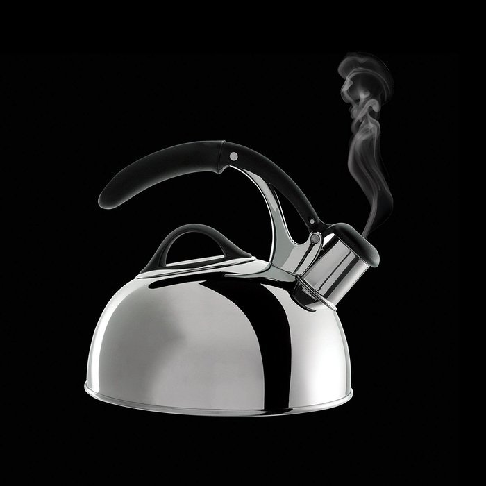 OXO Good Grips Pick Me Up Tea Kettle, Brushed Stainless N2