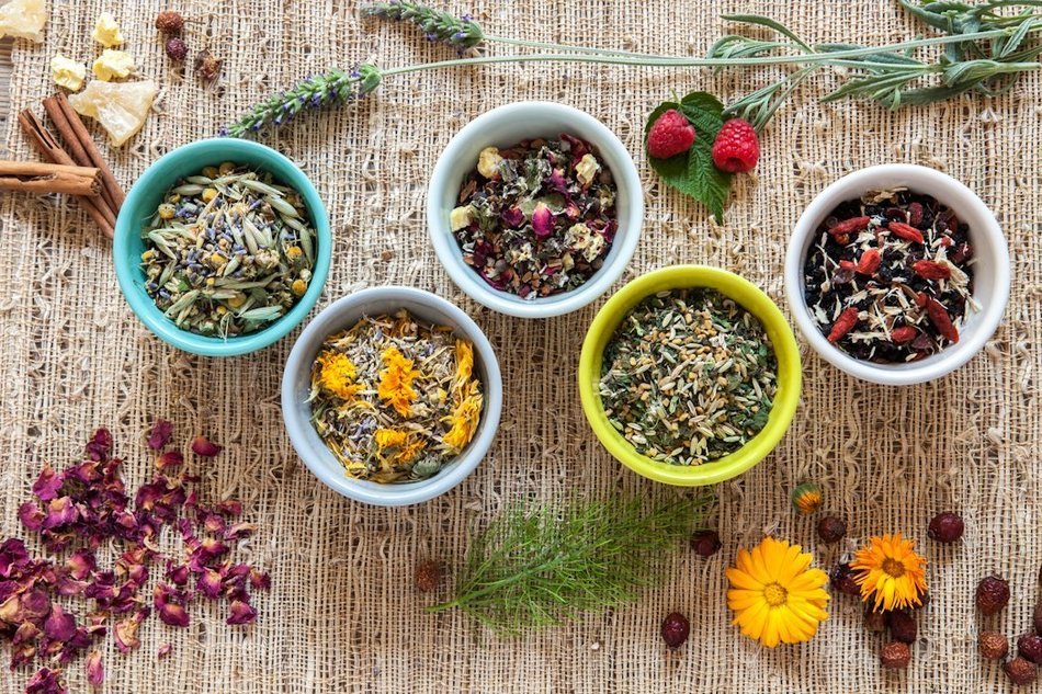 Birds & Bees Teas- Our Lady of La Leche - Boost Your Body's Milk Production Ability with Natural & Organic Herbs... N8