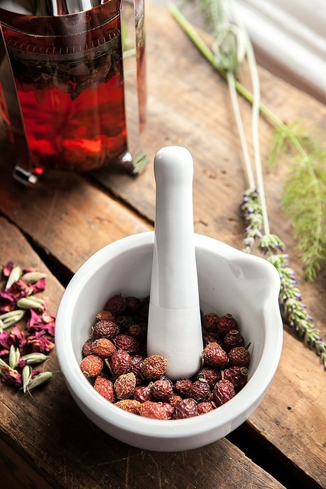 Birds & Bees Teas- Our Lady of La Leche - Boost Your Body's Milk Production Ability with Natural & Organic Herbs... N16