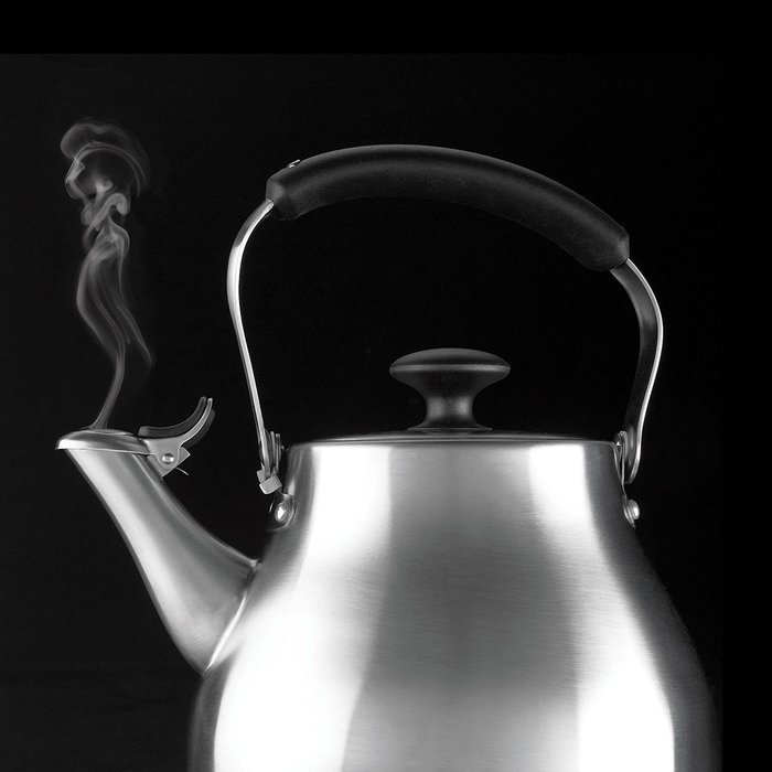 OXO Good Grips Classic Tea Kettle, Brushed Stainless N3