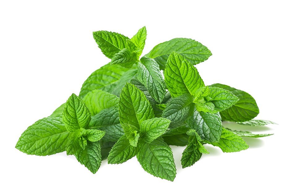 Organic Peppermint Tea, Loose Leaf Herbal Peppermint Leaves, Wild Tea #16 Peppermint Soothe by Wild Foods (2 ounce) N8