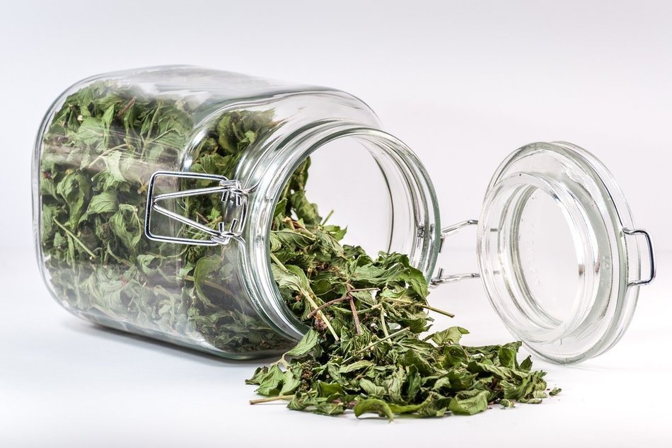 Organic Peppermint Tea, Loose Leaf Herbal Peppermint Leaves, Wild Tea #16 Peppermint Soothe by Wild Foods (2 ounce) N10