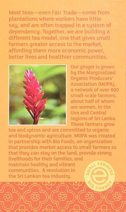 Equal Exchange Organic Ginger Tea, 1.05 Ounce