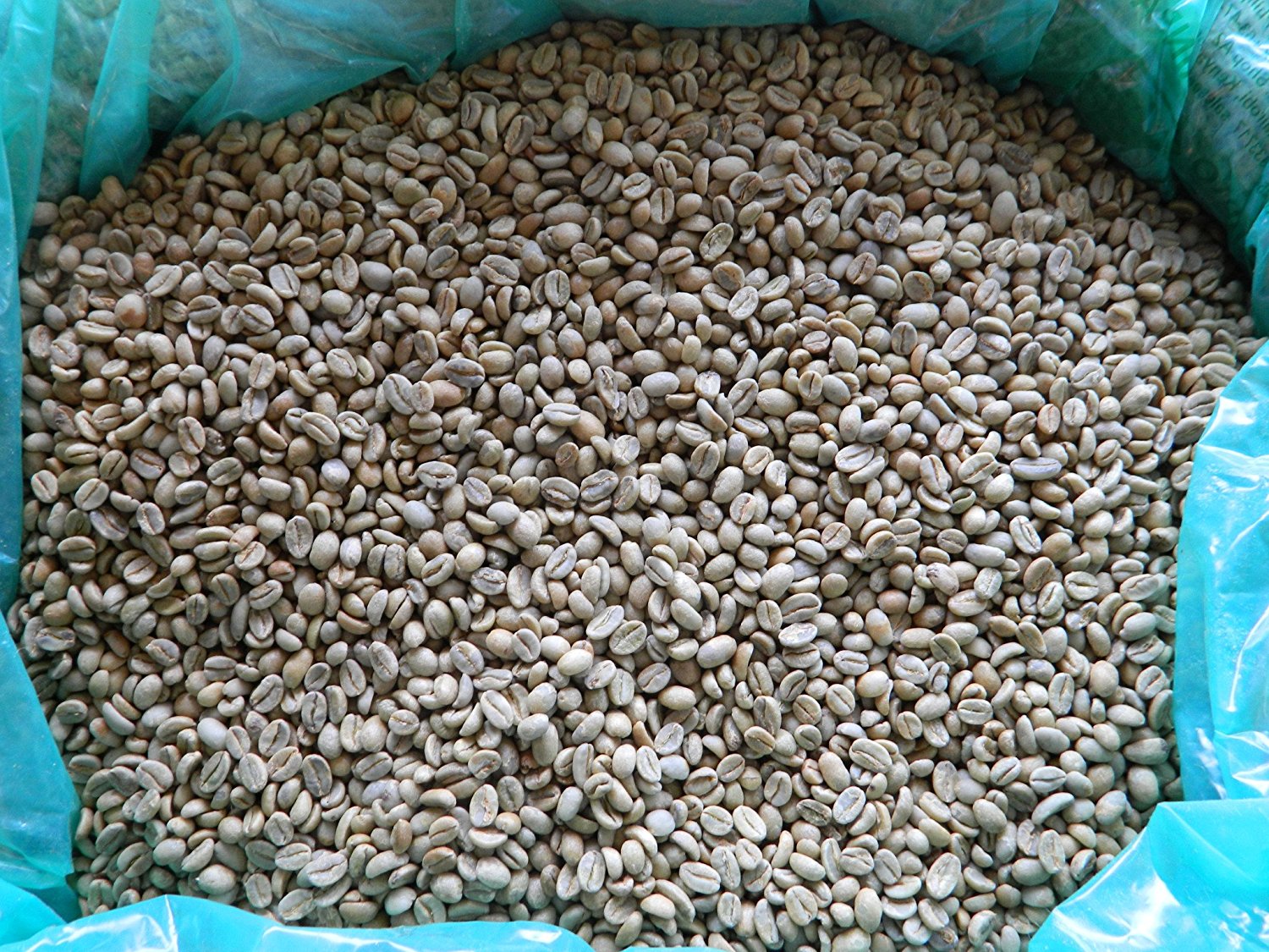 Ethiopian Yirgacheffe Washed Grade 1 Coffee Beans (Medium Roast (Full ...