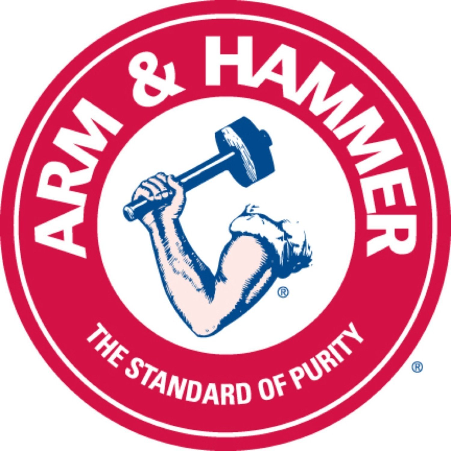 Holmes Arm and Hammer Air Purifier Booster Filter, 4 Pack N3 free image