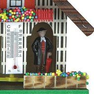 German Black Forest weather house TU 803 N4