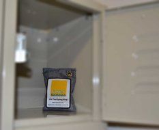 Golden Bamboo, Activated Charcoal 200g- Air Purifying Bag/ Odor Eliminating Drying Bag (Light Brown) N4