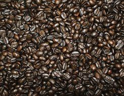 Death Wish Organic USDA Certified Whole Bean Coffee, 16 Ounce Bag N2