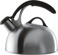 OXO Good Grips Pick Me Up Tea Kettle, Brushed Stainless N6