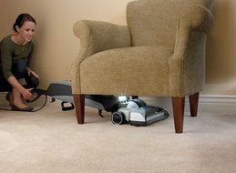 Hoover Platinum Collection Lightweight Bagged Upright with Canister, UH30010COM - Corded and Hoover Type Q &amp; I... N8