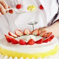 "Cake Piping Scissors Cream Flower Transfer Fondant Holder" shopping