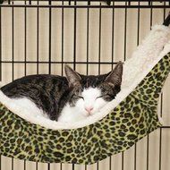 HP95(TM) Warm Cat Bed Pet Hammock For Pet Cat Rest &amp; Cat House Soft And Comfortable (B, L) N4