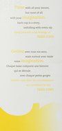 Tazo Calm-Chamomile Filter Bag Tea, 24 Count(Pack of 6) N3