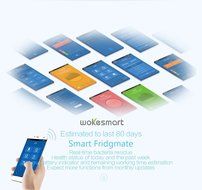 Wokesmart Refrigerator Deodorizer, Ionizer Air Purifier, Fridge Ionic Food Freshener Preserver, Waterproof Ozone... N4