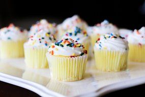 Cake Decorating Kit - 8 Seamless Piping Tips, 2 Reusable Cotton Pastry Bags, 2 Plastic Couplers &amp; 3 Spatulas -... N6