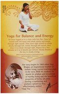 Yogi Tea Raspberry Ginger Digestive Vitality, 16 Count (Pack of 6)