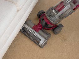 LG LuV350P Kompressor Drive Pet Care Vacuum N2
