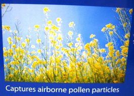 Lysol Air Purifier LAP-1 N3