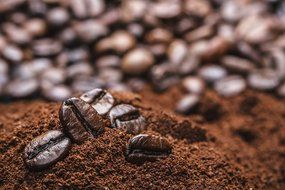 Jungle Coffee Beans | Costa Rican Organic Dark Roast Whole Bean (1 lb) - Gourmet Best Coffee Beans 1 Pound Fresh... N2