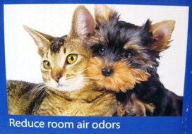 Lysol Air Purifier LAP-1 N4