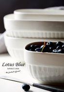 Solid White strengthen ceramic baking dishes pans porcelain bakeware 2-Pieces Set kitchen rice lasagna
