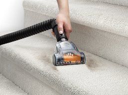 Hoover Vacuum Cleaner T-Series WindTunnel Pet Rewind Bagless Corded Upright Vacuum UH70210