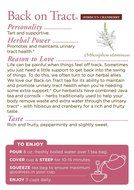 Traditional Medicinals Organic Mother&rsquo;s Milk Tea, 16 Tea Bags (Pack of 6) N27