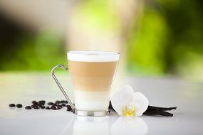 Nescafe Dolce Gusto for Nescafe Dolce Gusto Brewers, Cafe Americano , 48 Count N138